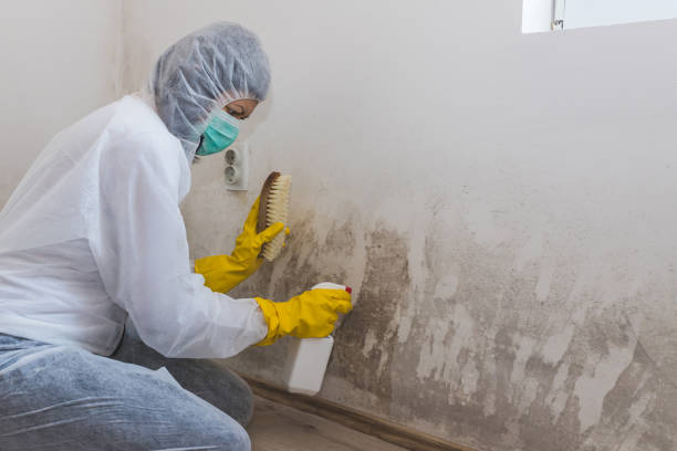 Best Residential Mold Inspection & Testing  in Osseo, WI