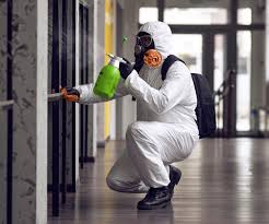 Reliable Osseo, WI Mold Inspection Solutions